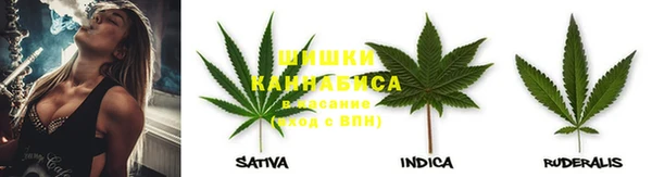 прущие крисы Балабаново