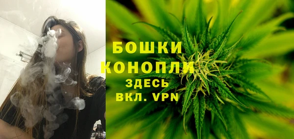 ешки Белокуриха