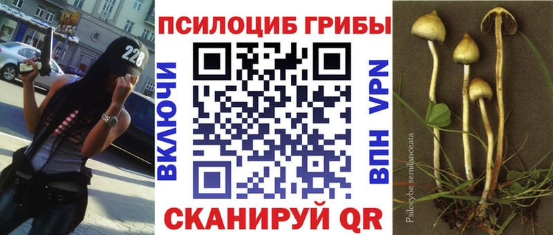 закладка Магас Псилоцибиновые грибы MAGIC MUSHROOMS