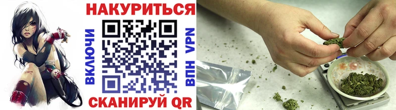 Каннабис SATIVA & INDICA  где найти наркотики  Магас 